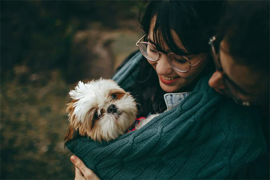 クエン酸カリウムとは？犬猫の結石予防と低カリウム血症の治療薬を解説